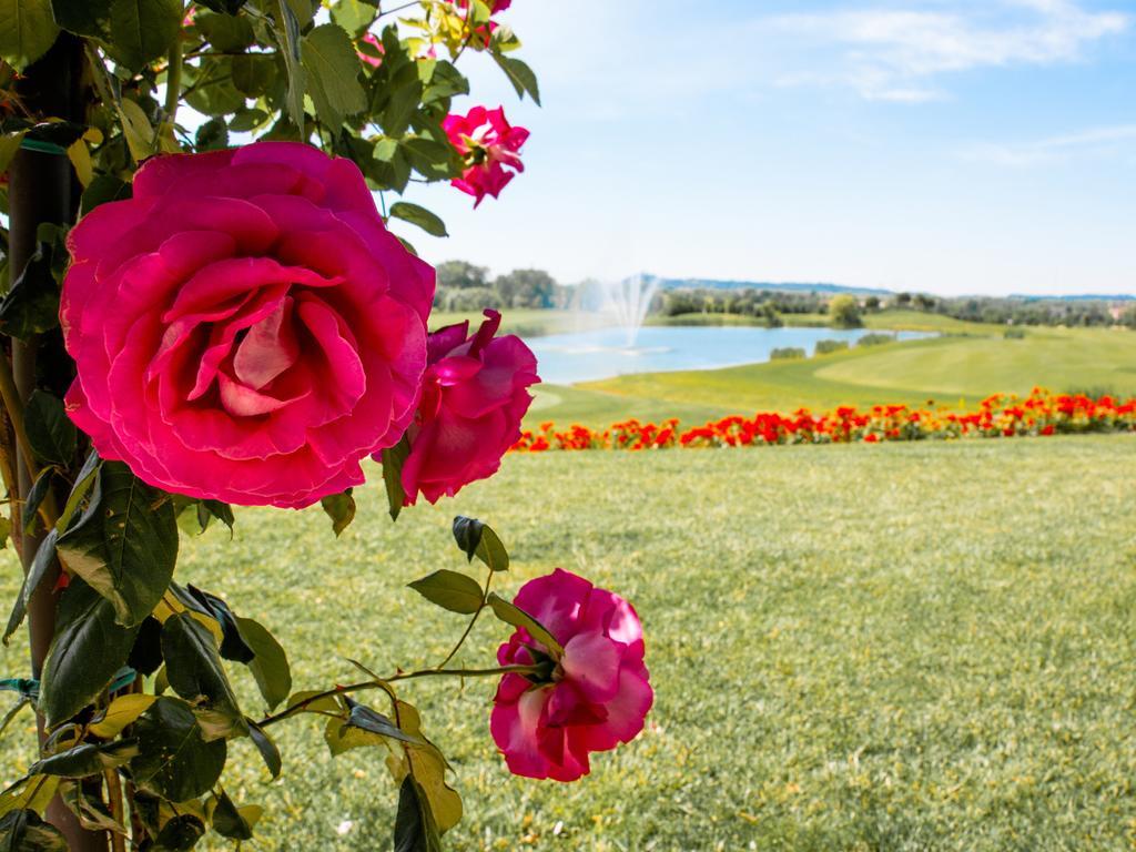 Garda Hotel San Vigilio Golf Pozzolengo Exteriör bild